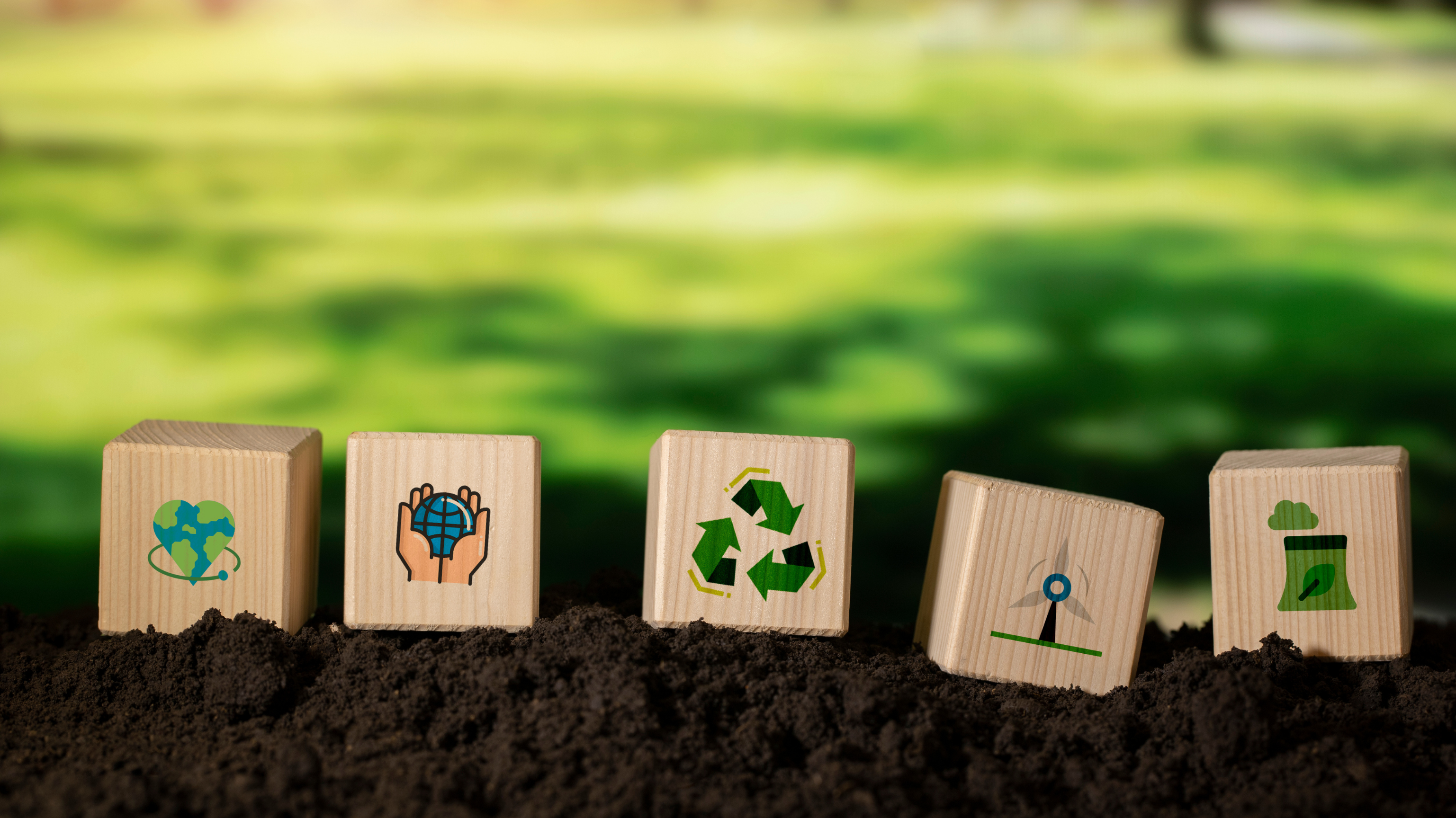 Sustentabilidade na Escolha da Madeira